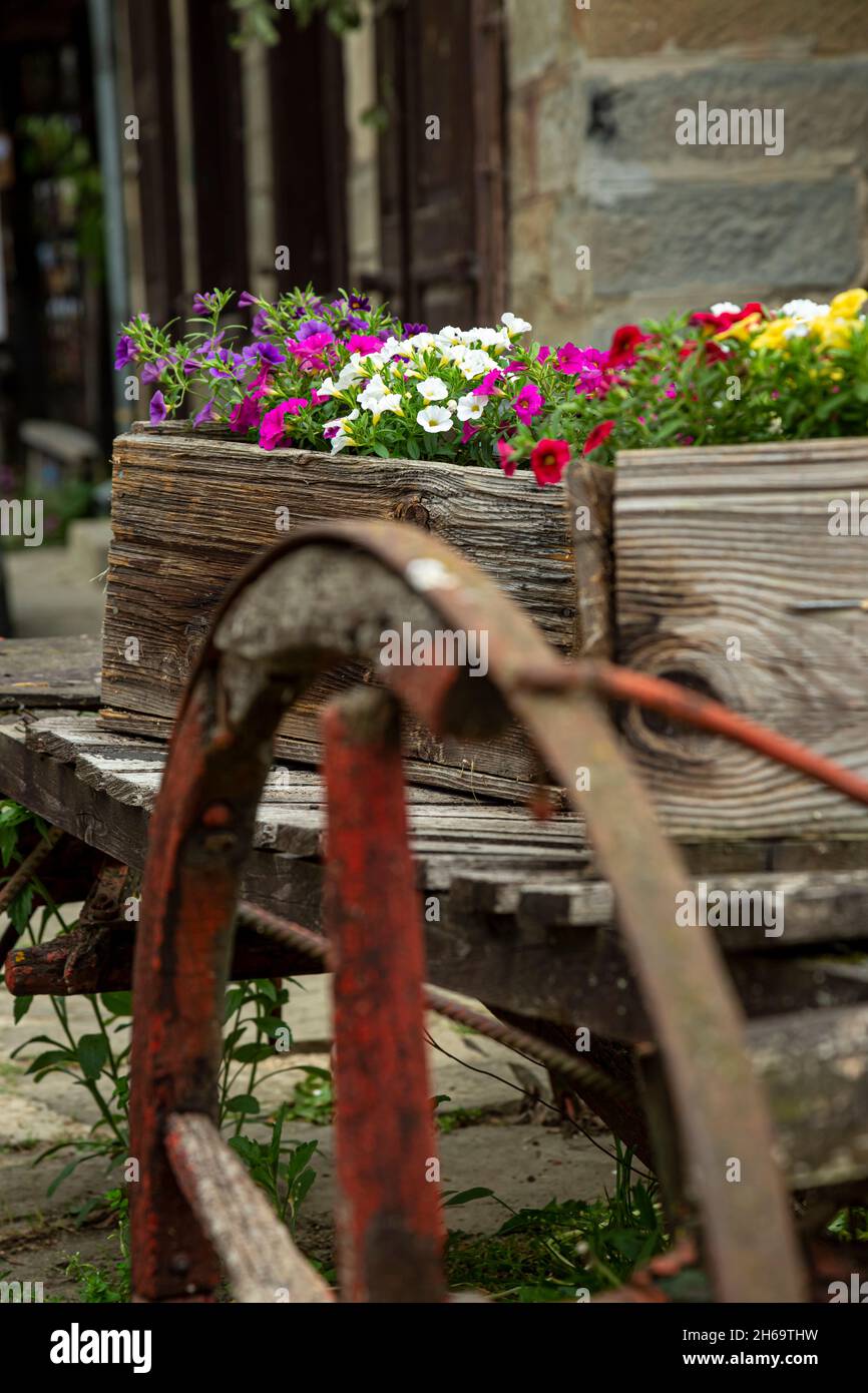 Dekorative Holzkiste und Blumentopf auf einem Gartenzaun im bulgarischen Dorf. Stockfoto