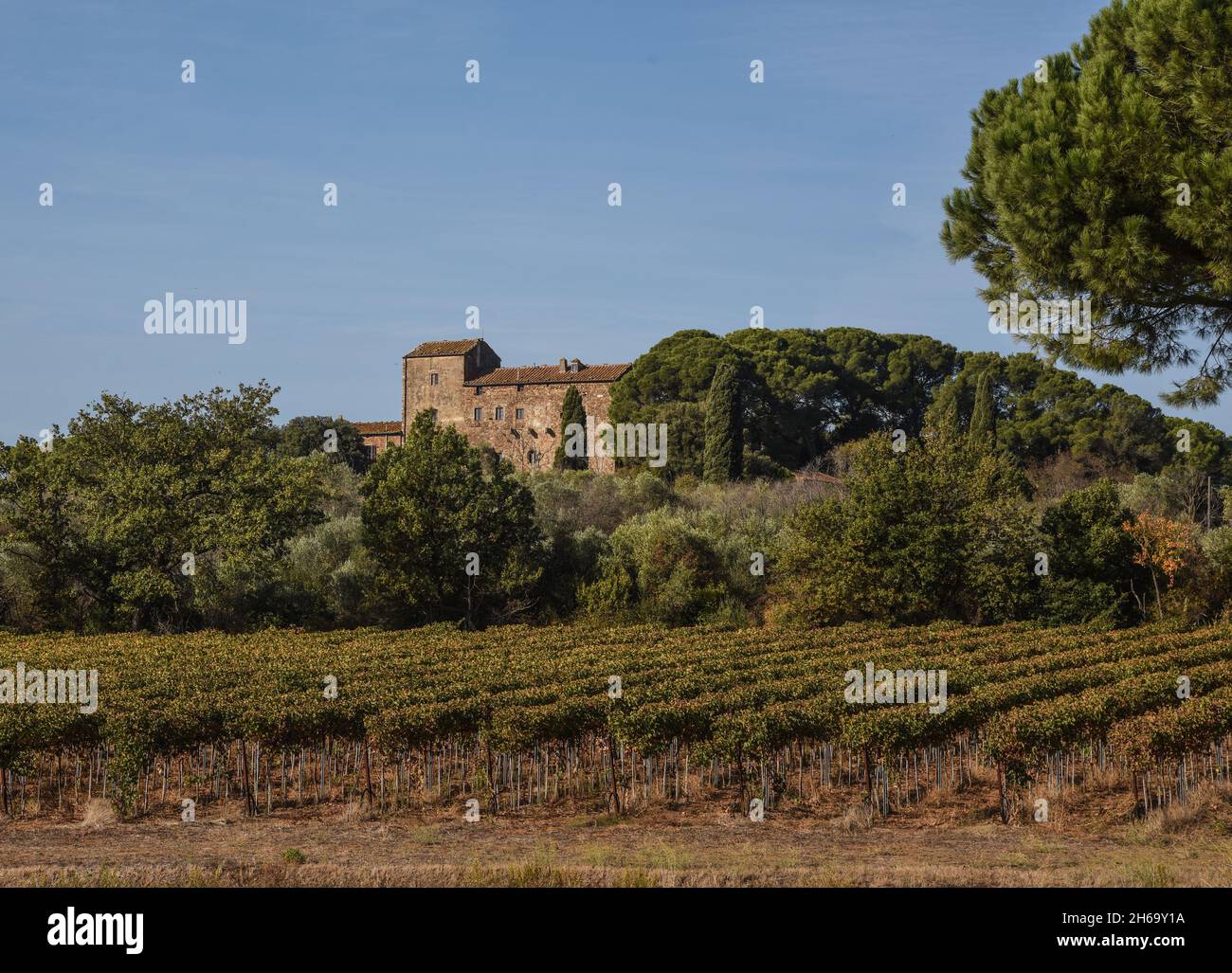 Il Castello di Casalappi e le sue vigne Stockfoto