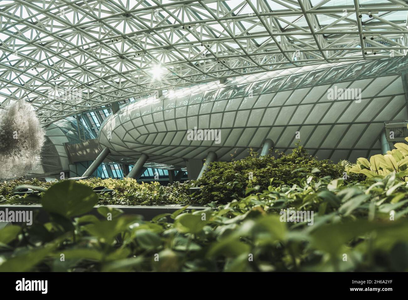 Botanischer Garten in der Metropole. Modernes Gebäude mit Glasdecke und Wänden in der Großstadt. Das Innere des städtischen Gebäudes mit Pflanzen. Stockfoto