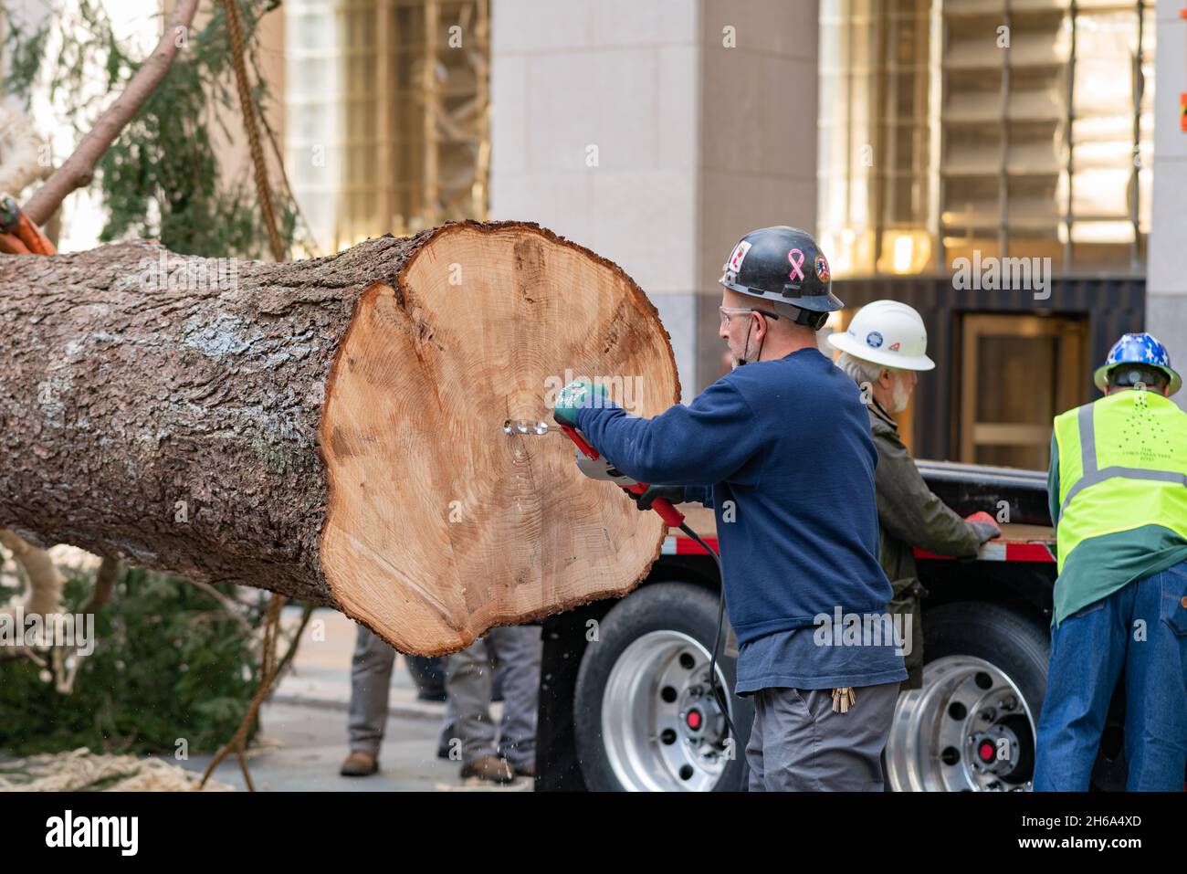 Der 70 Fuß hohe, 46 Fuß große und 12 Tonnen schwere Rockefeller Center Christmas Tree kommt von Elkton, MD, USA, in New York City, NY, an. Am 13. November 2021. Die Ankunft des Baumes läutet offiziell die Weihnachtszeit in der Stadt ein. (Foto von Steve Sanchez/SipaUSA). Stockfoto