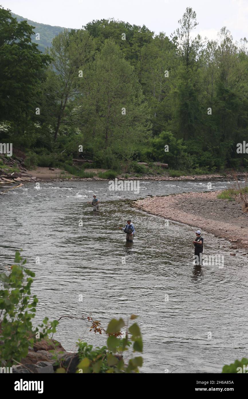 Drei Fischer mit Fliegenruten in einem sich schnell bewegenden Fluss zusammen mit grünen Bäumen und felsigen Ufern Mt Tremper, NY 5/22/21 Stockfoto