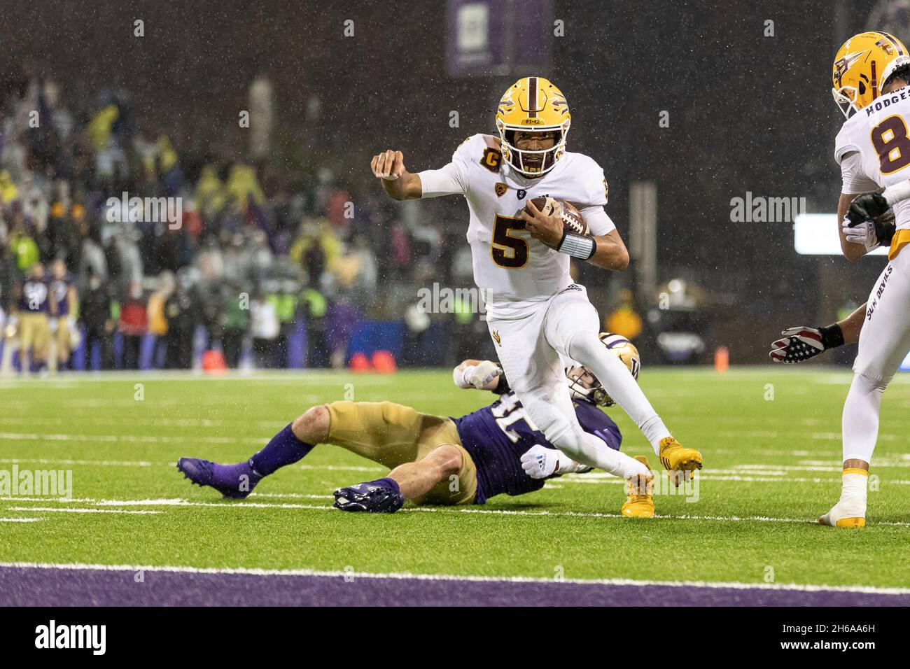 Der Arizona State Sun Devils Quarterback Jayden Daniels (5) bricht bei einem Torlauf gegen die Washington Huskies während des 4. Qua aus der Tasche Stockfoto