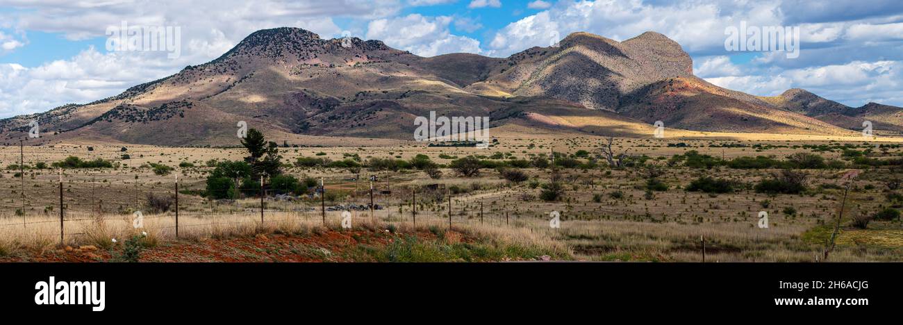 Panorama des südlichen Arizona im Sommer. Stockfoto