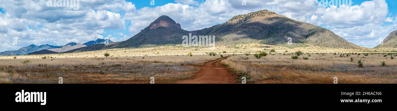 Panorama des südlichen Arizona im Sommer. Stockfoto