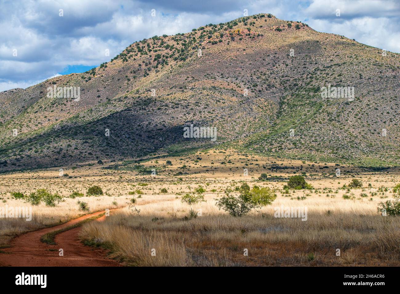 Panorama des südlichen Arizona im Sommer. Stockfoto