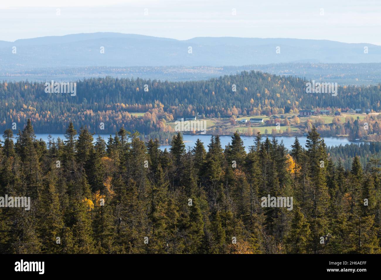 Blick auf den herbstlichen Taigawald mit Hügeln und Bergen, die vom Hügel Valtavaara bei Kuusamo abgeschossen wurden, finnische Natur, Nordeuropa. Stockfoto