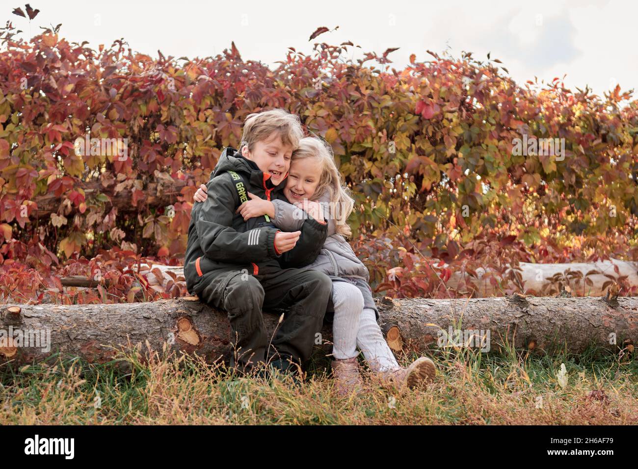 Liebende Geschwister Bruder und Schwester haben Spaß im Park mit trockenen gelben und roten Blättern. Herbstlicher Familienspaziergang. Stockfoto