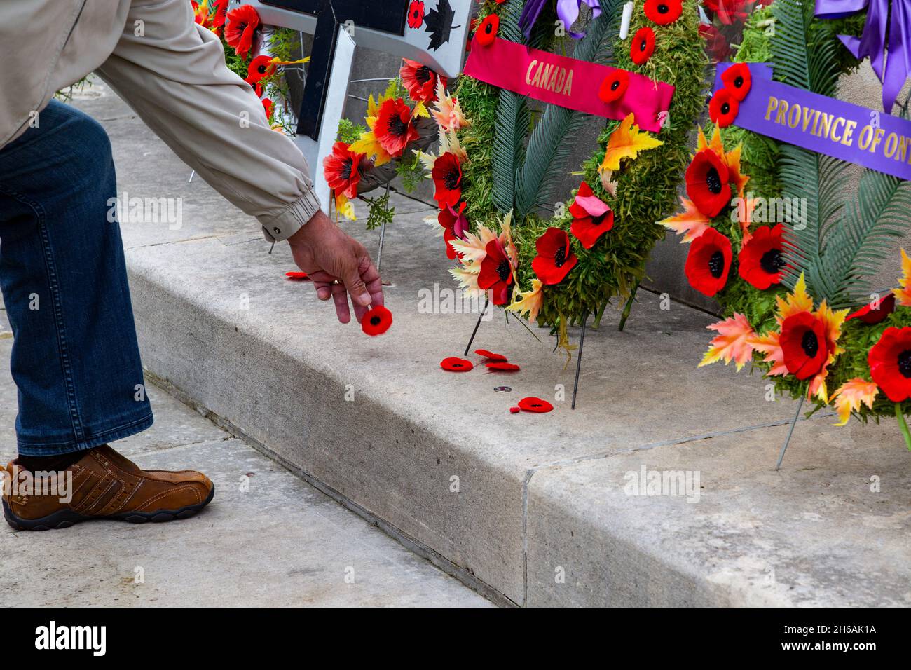 Nach der Zeremonie zum Gedenktag 2021 legen die Menschen ihre Mohnblumen ab und zollen dem Kenotaph ihren Respekt. Cambridge, Ontario, Kanada. Stockfoto