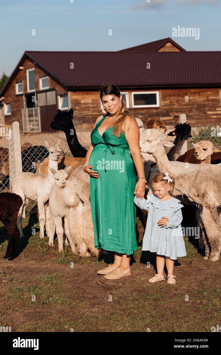 Schöne Schwangere von 26-30 Jahren im grünen Sommerkleid hält kleine Tochter von 3-4 Jahren von Hand, sie stehen in der Nähe ihrer Alpakas Stockfoto