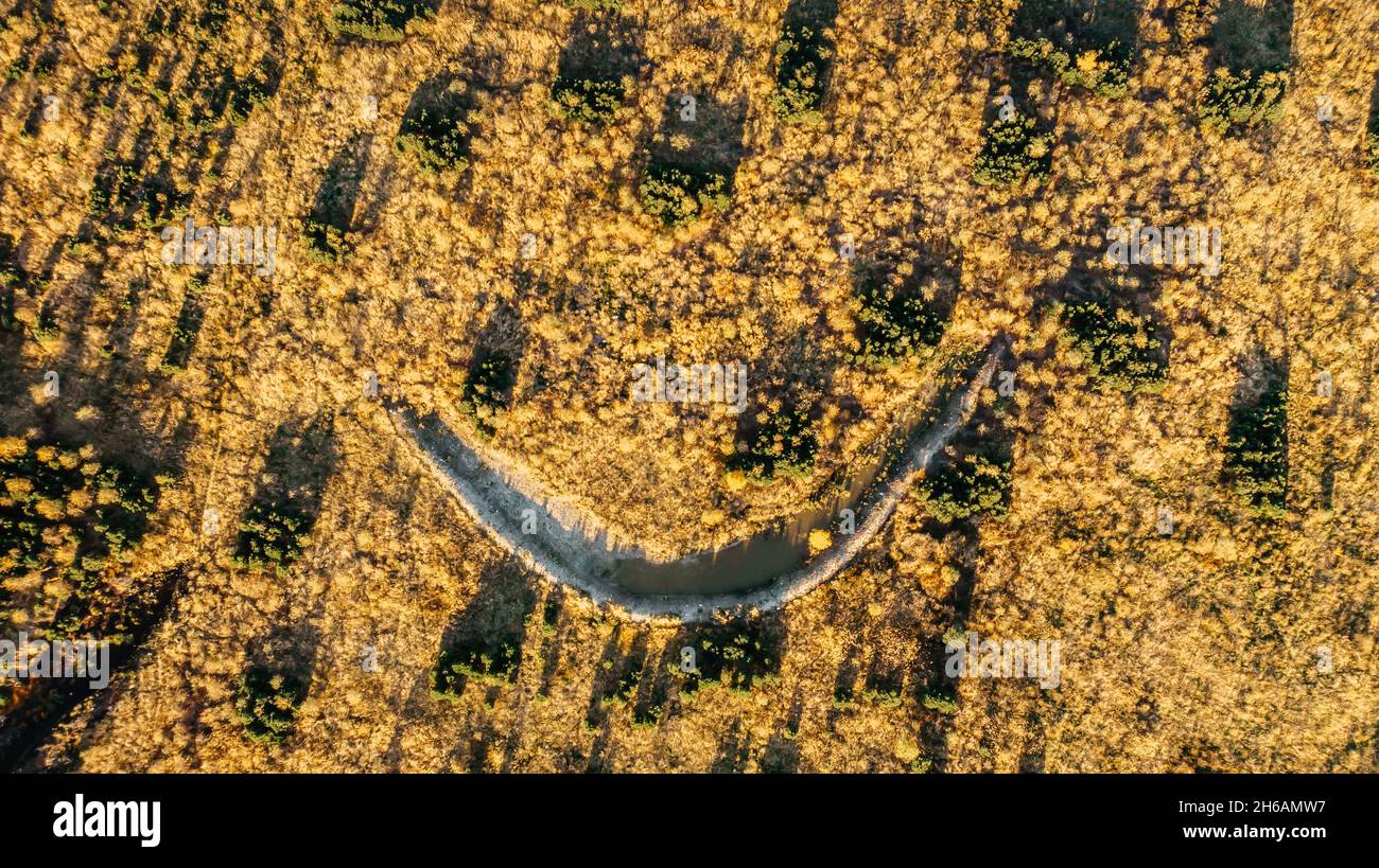 Torfmoor in der Nähe des Dorfes Pernink in Krusne hory, Erzgebirge, Tschechische Republik.Naturschutzgebiet.Bunte Luftlandschaft.Draufsicht Drohne geschossen Stockfoto