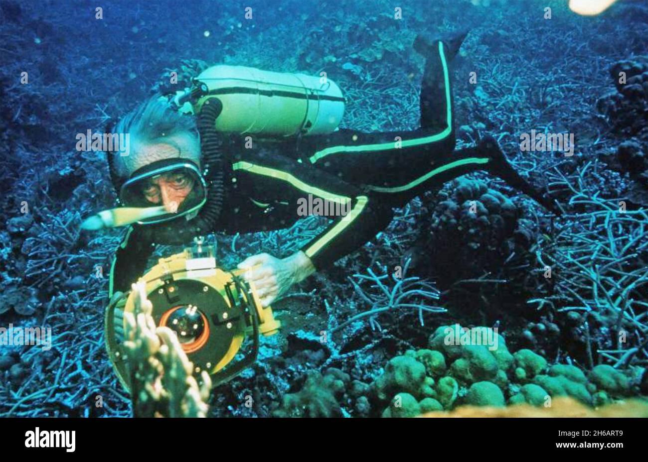 JACQUES COUSTEAU (1910-1997) französischer Meeresschützer im Jahr 1984. Foto: Turner Television Stockfoto