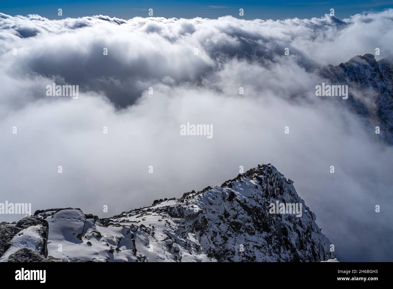 Rysy, hohe Tatra Gipfelblick, verschneite Felsen über Wolken am Rande von Polen und der Slowakei Stockfoto
