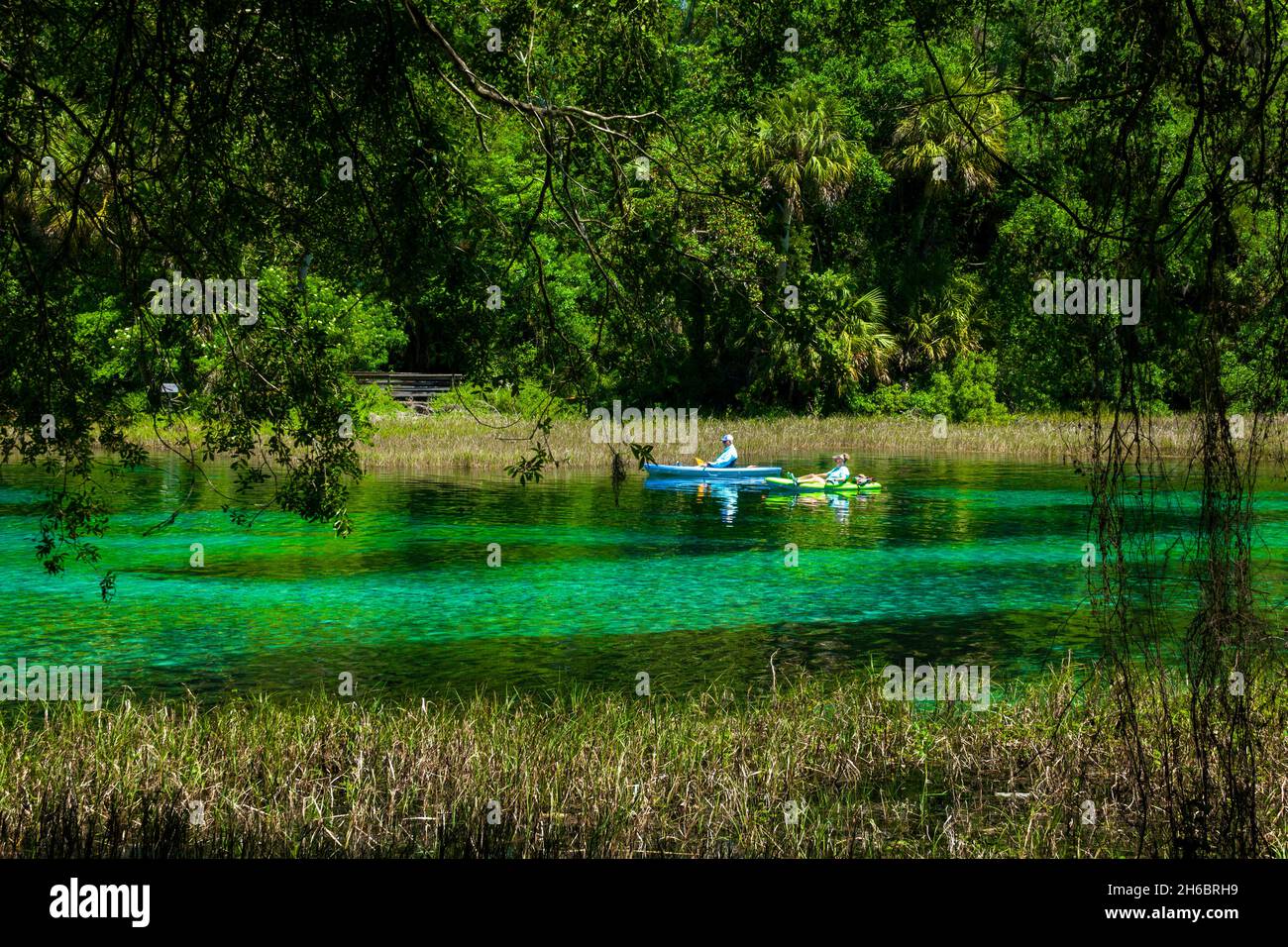 Rainbow Springs State Park Erholungsgebiet Florida Stockfoto