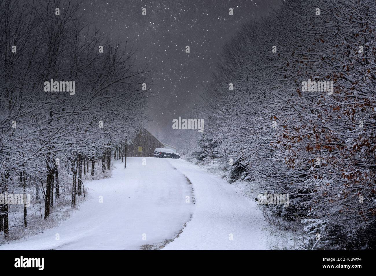 Nach Hause kommen für die Feiertage, fallender Schnee auf einer Landstraße, die von Autoscheinwerfern beleuchtet wird. Stockfoto