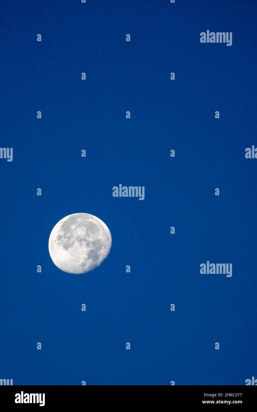 Mond in der abnehmenden Gibbous Phase mit blu Sky im Oktober, vertikal Stockfoto