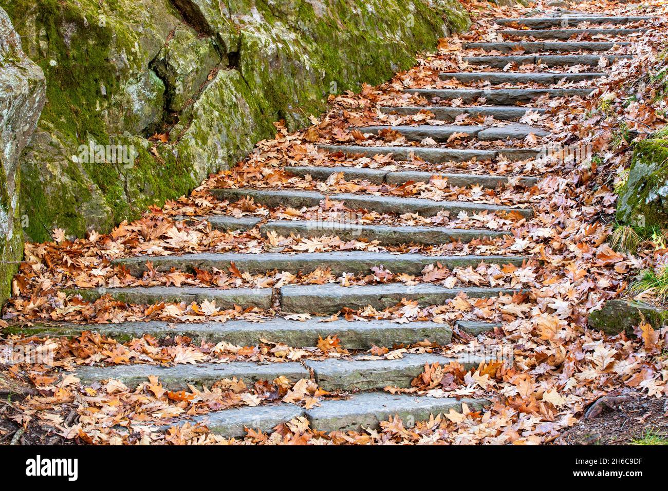 Steintreppe im Herbst auf dem Mountains-to-Sea Trail, in der Nähe von Asheville, North Carolina, USA Stockfoto