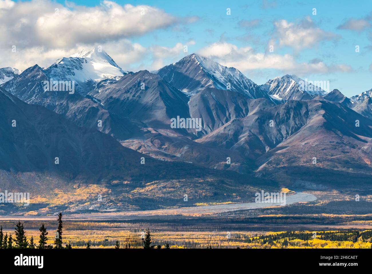 Fahren Sie im Herbst auf einer isolierten Autobahn mit goldener Landschaft auf einer Reise durch die Wildnis im Herbst. Stockfoto