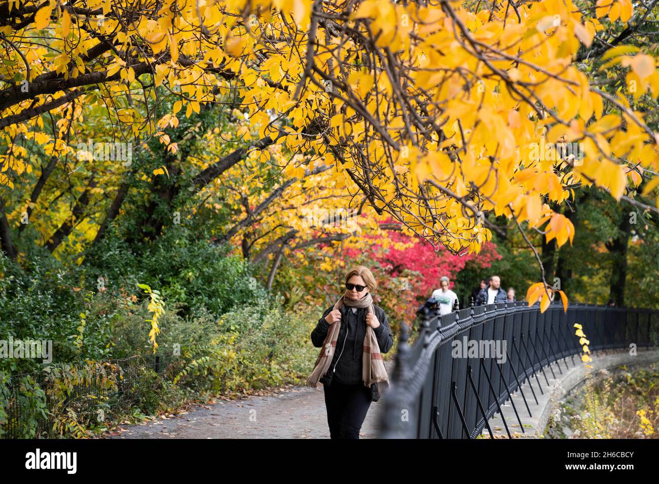 New York, USA. November 2021. Die Menschen genießen die Herbstlandschaft im Central Park in New York, USA, 14. November 2021. Quelle: Wang Ying/Xinhua/Alamy Live News Stockfoto