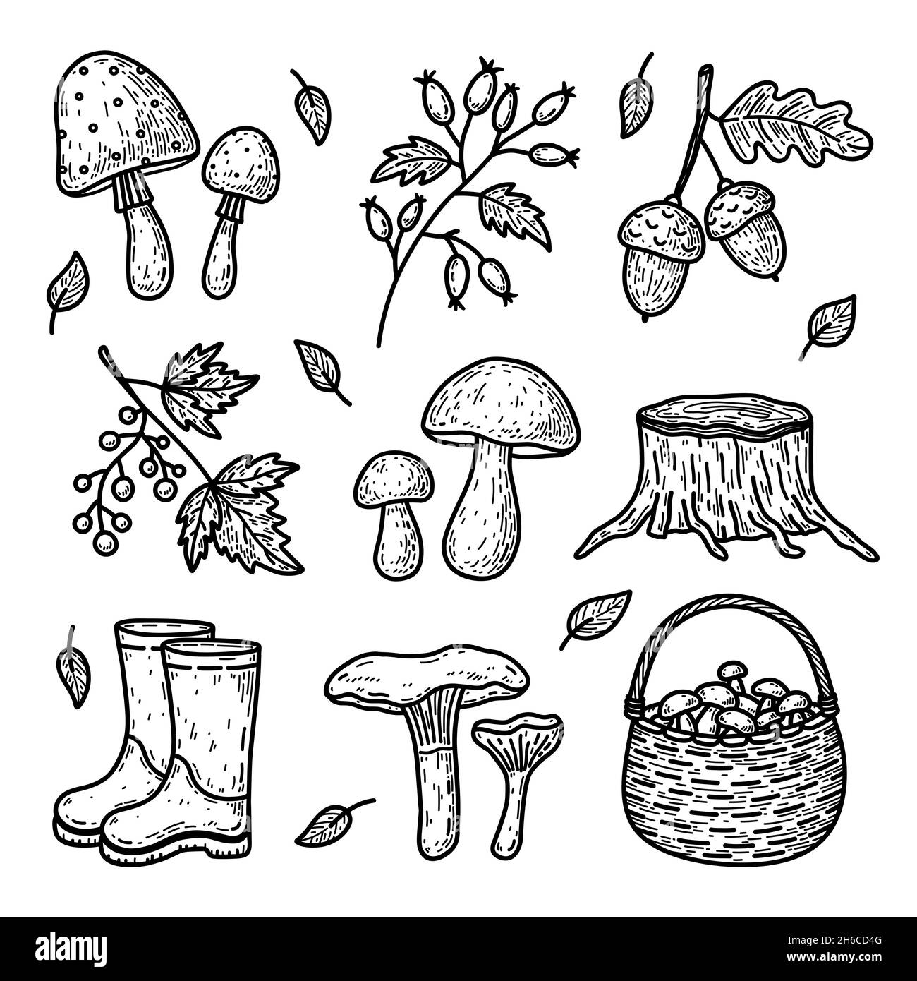 Doodle Set von Herbstelementen - Waldpilze, Beerenzweige, Eicheln, Gummistiefel und andere. Vektor-handgezeichnete Illustration isoliert auf Weiß Stock Vektor