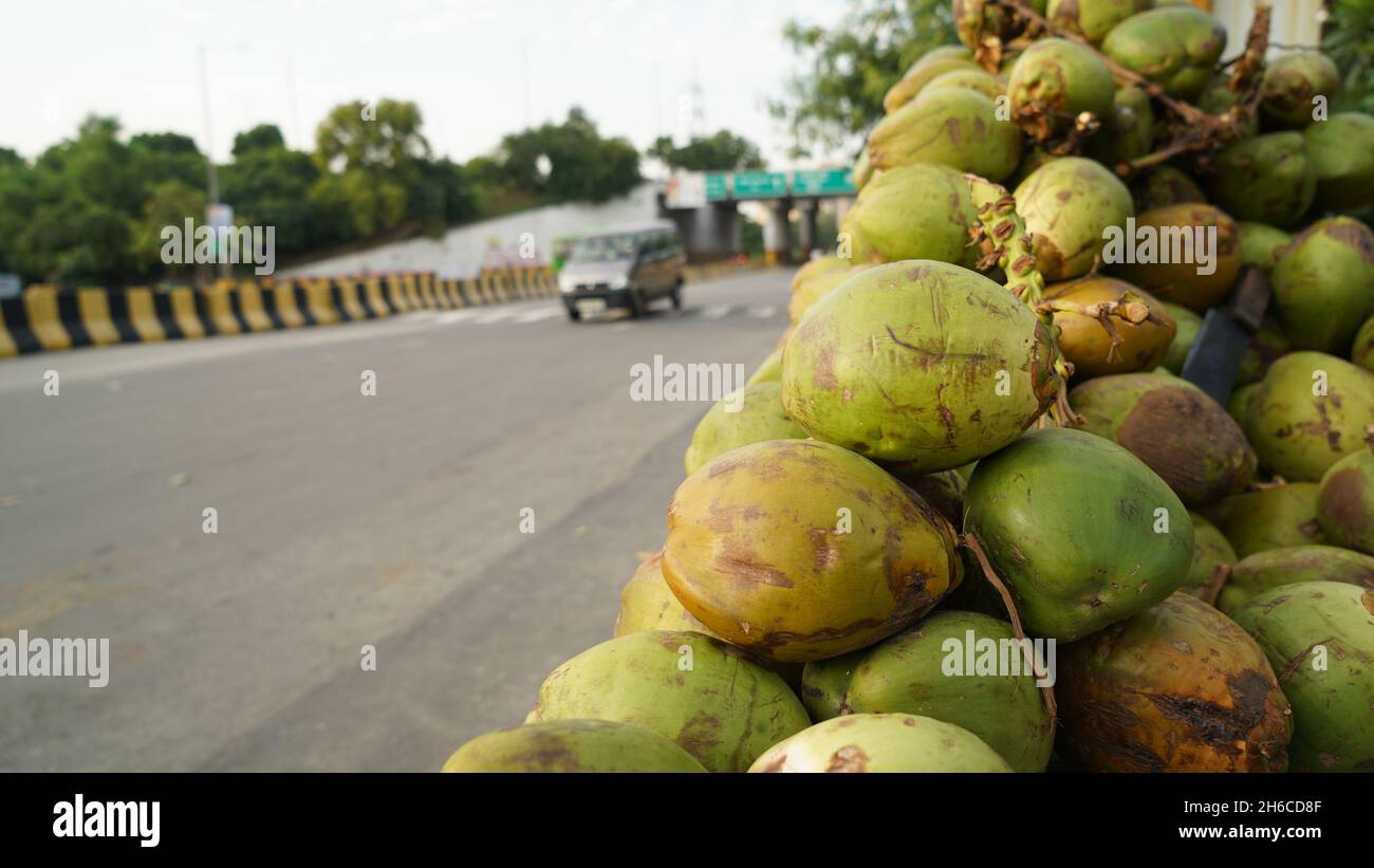 Hochwertige Bilder von rohen und Reifen Kokosnüssen Stockfoto