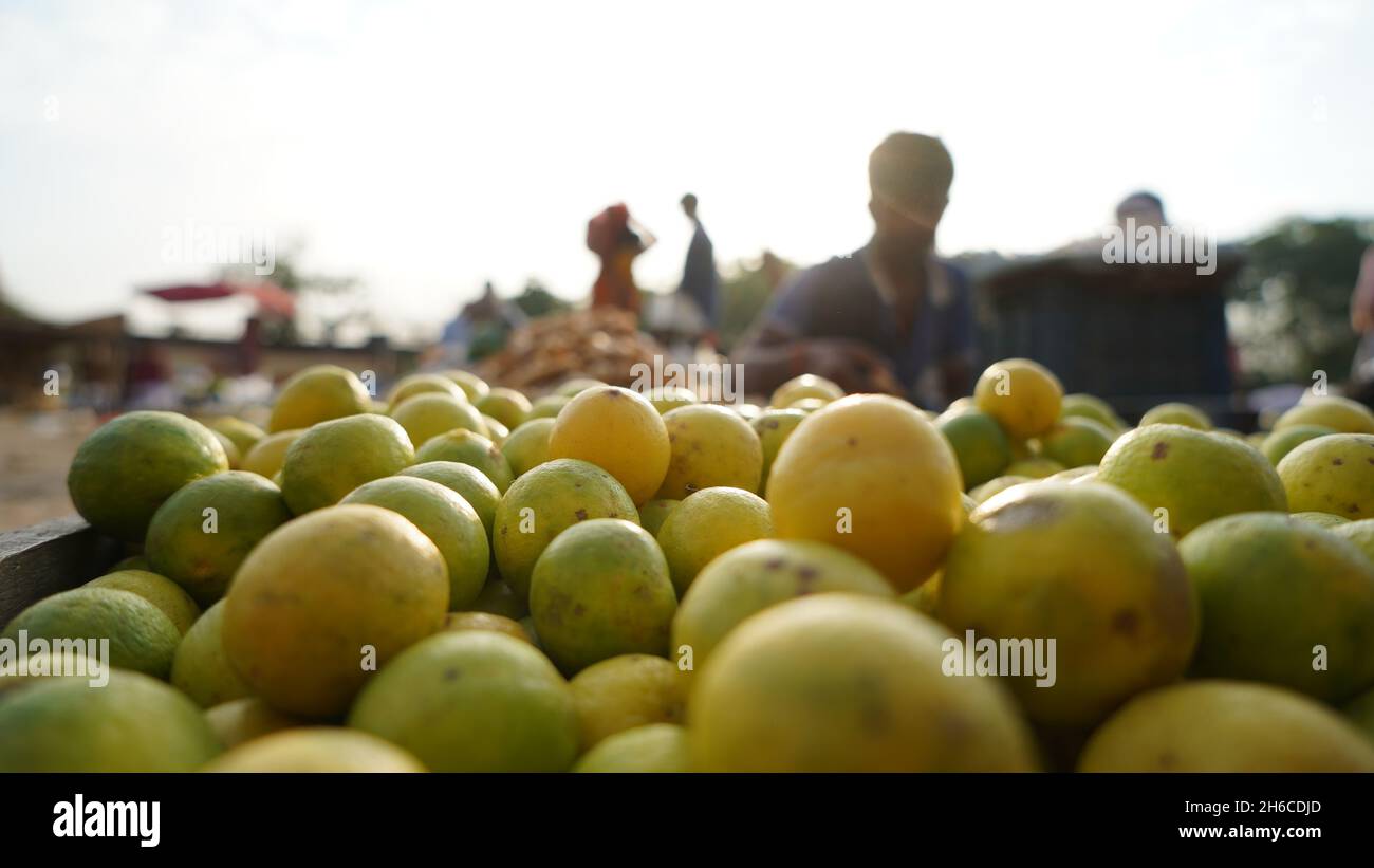 Hochauflösendes Bild: Frische Zitronen auf einem lebhaften Gemüsemarkt Stockfoto