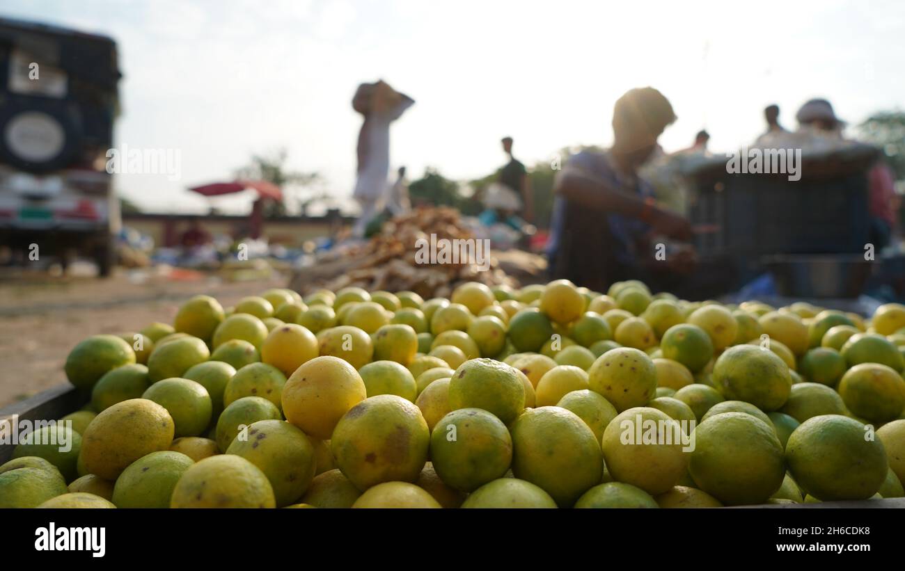 Hochauflösendes Bild: Frische Zitronen auf einem lebhaften Gemüsemarkt Stockfoto