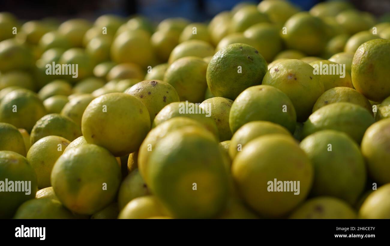 Hochauflösendes Bild: Frische Zitronen auf einem lebhaften Gemüsemarkt Stockfoto