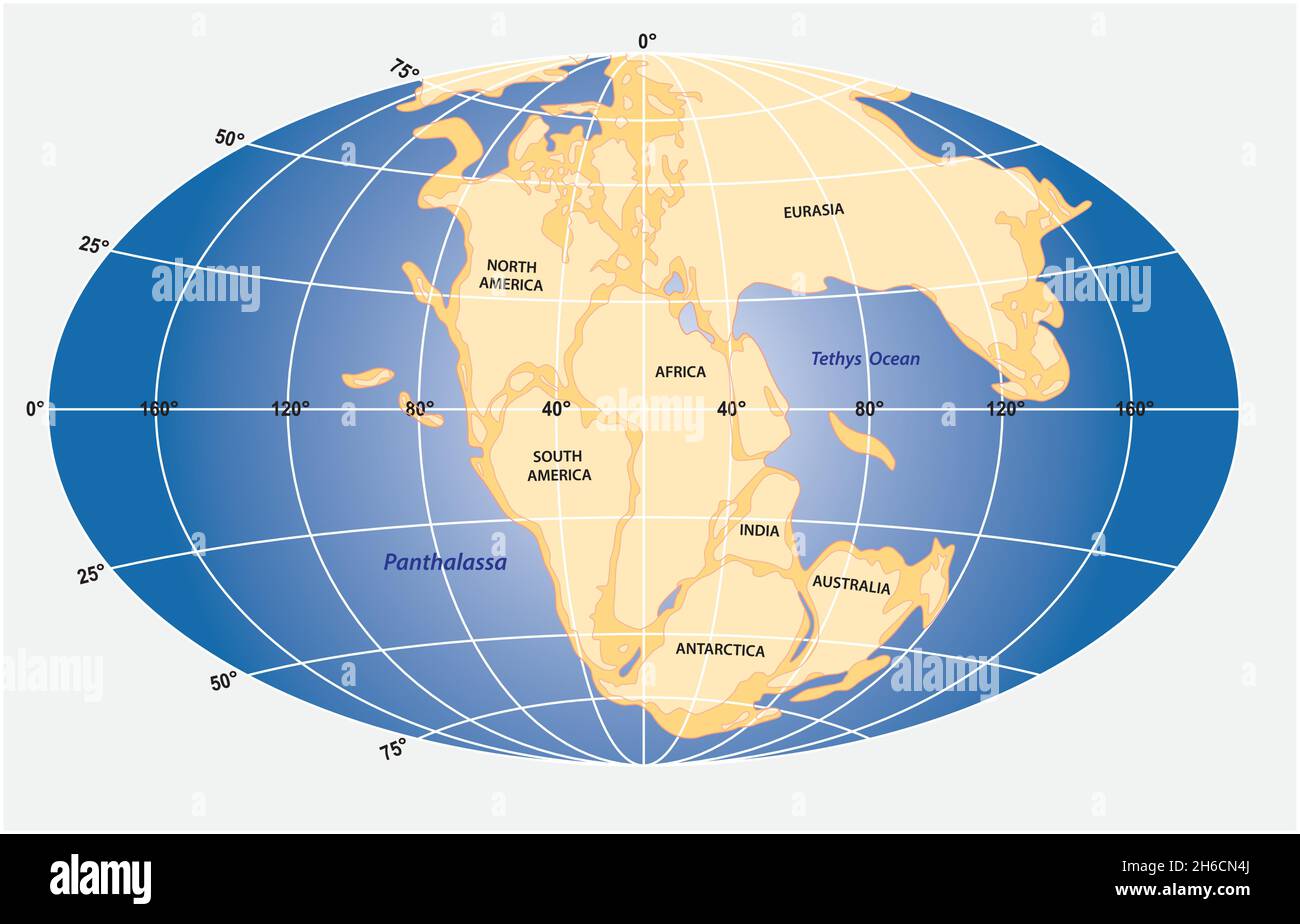 Vektorgrafik der Landmasse des Superkontinents Pangea Stock Vektor