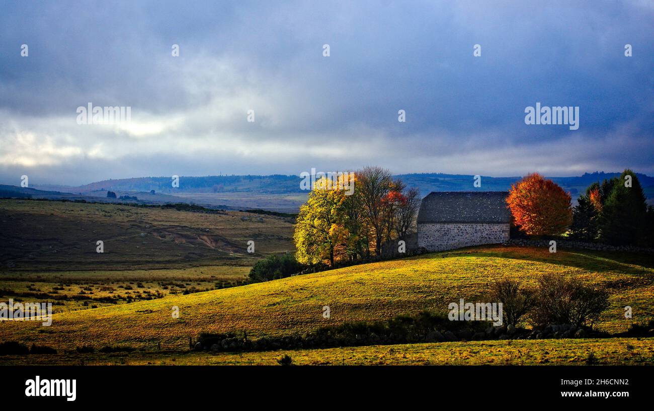 FRANKREICH. LOZERE (48) REGION AUBRAC Stockfoto