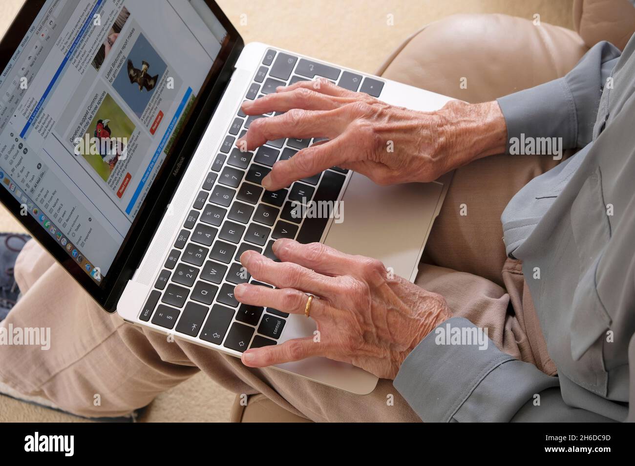 Hände einer älteren Dame, die einen Laptop benutzt Stockfoto