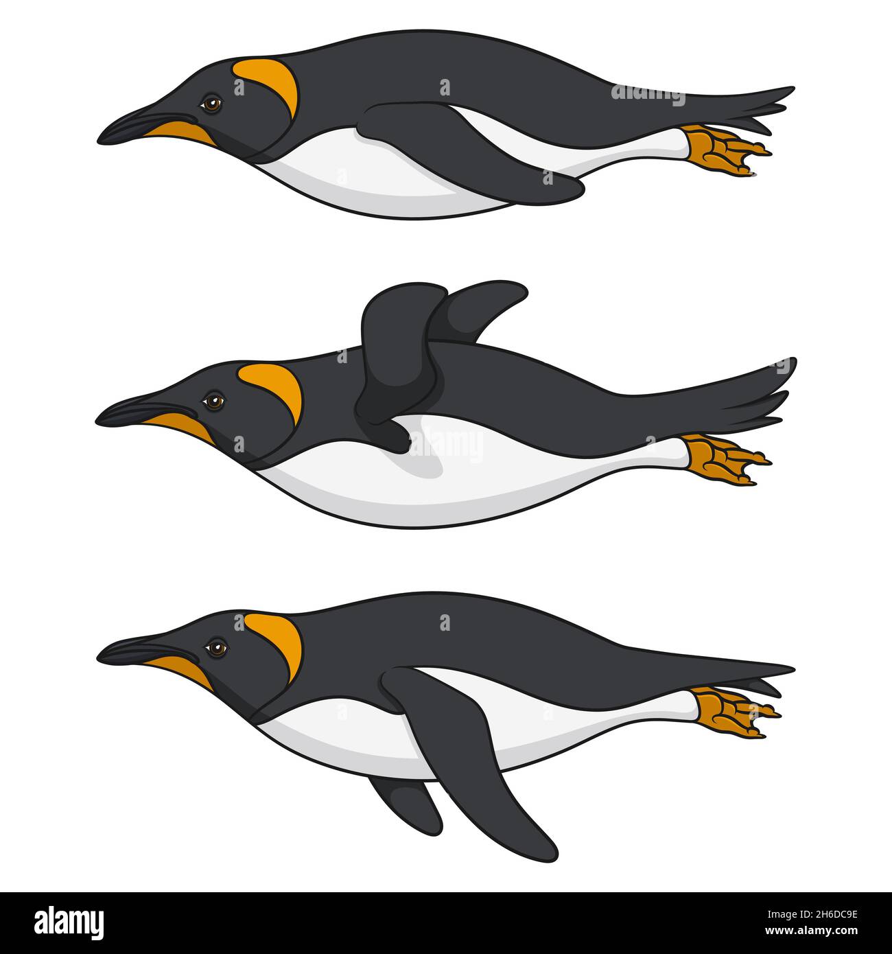 Satz von Farbbildern eines schwimmenden Pinguins. Isolierte Vektorobjekte auf weißem Hintergrund. Stock Vektor