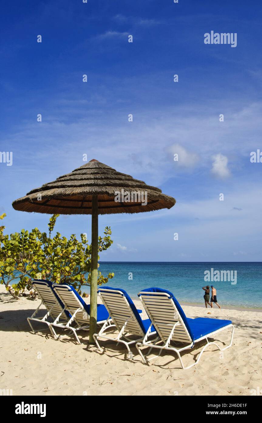 Grand Anse Beach mit Sonnenschirm und Liegestühlen, Grenada, Windward Island Stockfoto