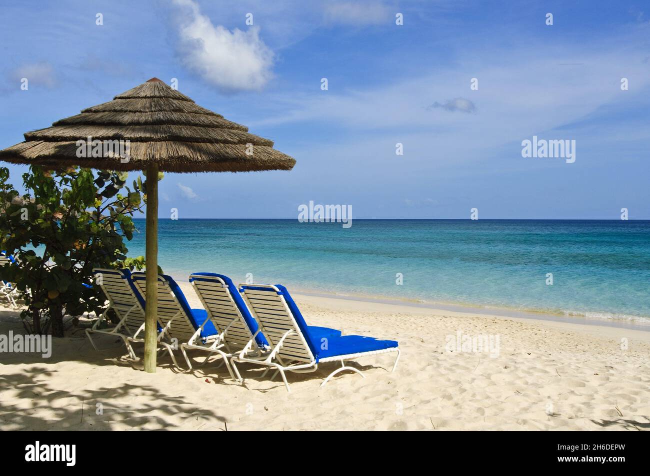Grand Anse Beach mit Sonnenschirm und Liegestühlen, Grenada, Windward Island Stockfoto