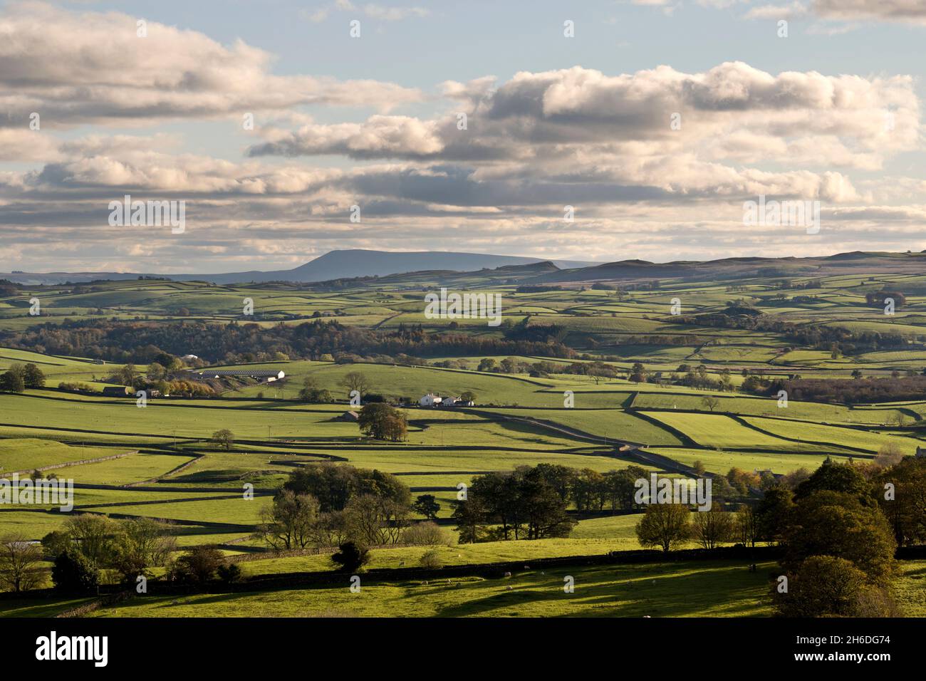 Blick auf den Pendle Hill in Lancashire von oben auf Austwick im Yorkshire Dales National Park, Großbritannien Stockfoto