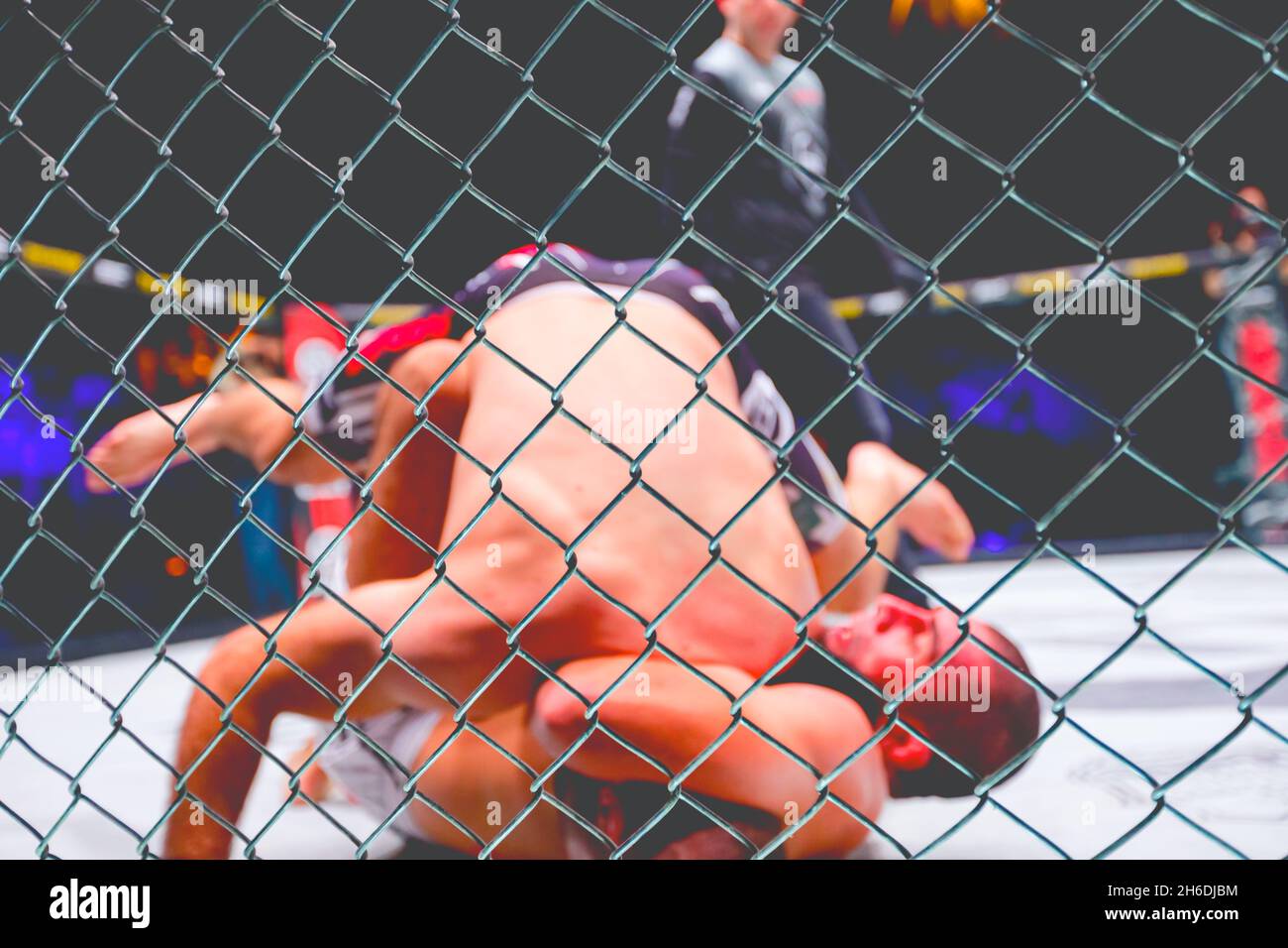 Zwei starke muskulöse professionelle MMA-Kämpfer kämpfen, sie sind im Clinch, ringen im Parterre auf dem Achteck-Boden. Stockfoto