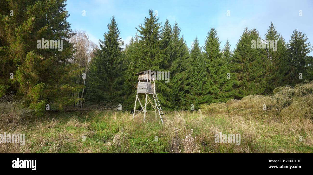 Panoramablick auf einen Wald mit Holzhirschen und Wildschweinjagdturm. Stockfoto