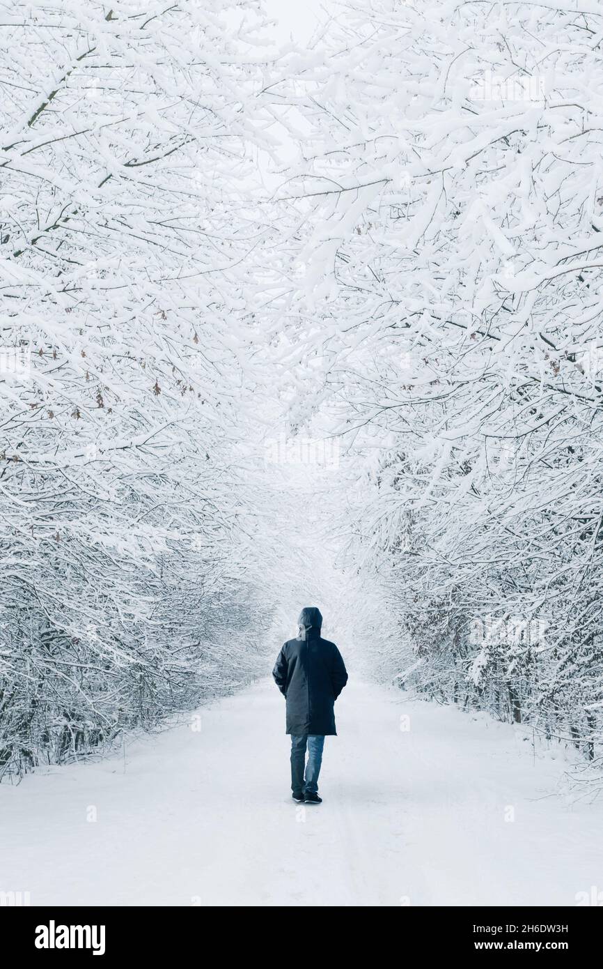 Rückensilhouette eines einzelnen Mannes, der im Winter auf einem schneebedeckten Waldweg läuft Stockfoto