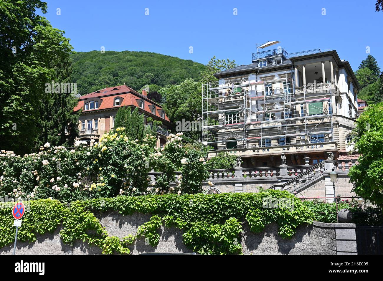 Luxuriöse Villen am Neckarufer in Heidelberg Stockfoto