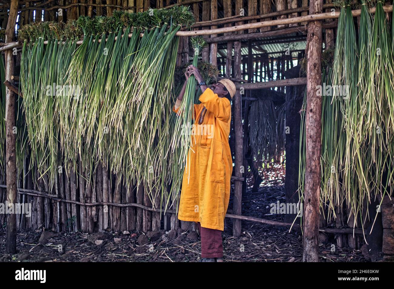 Bahar dar, Tana See, Amhara Region, Äthiopien, Afrika Stockfoto