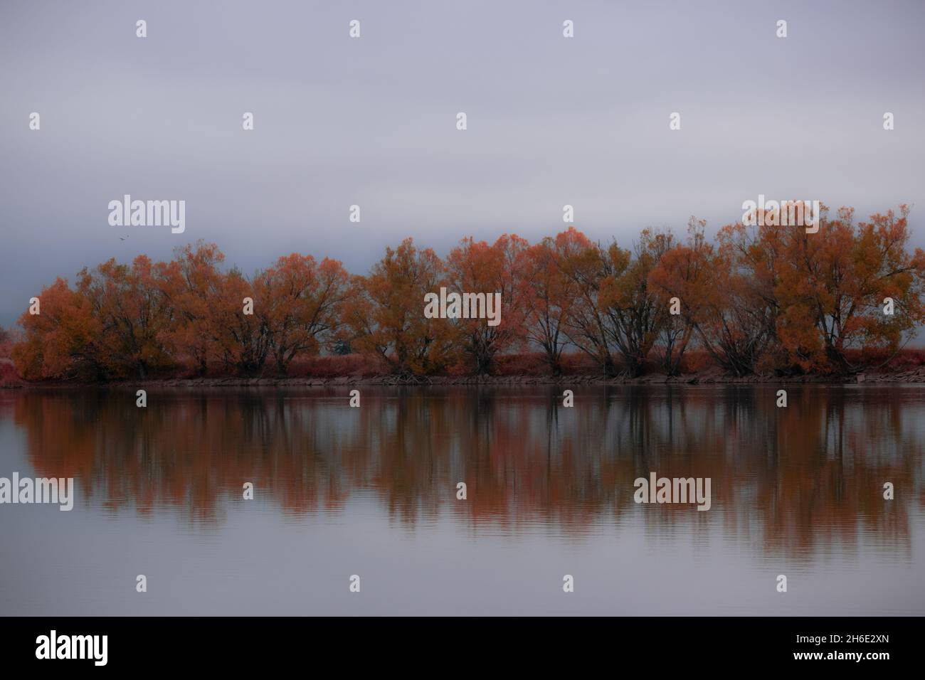 Bäume spiegeln sich auf dem See Stockfoto