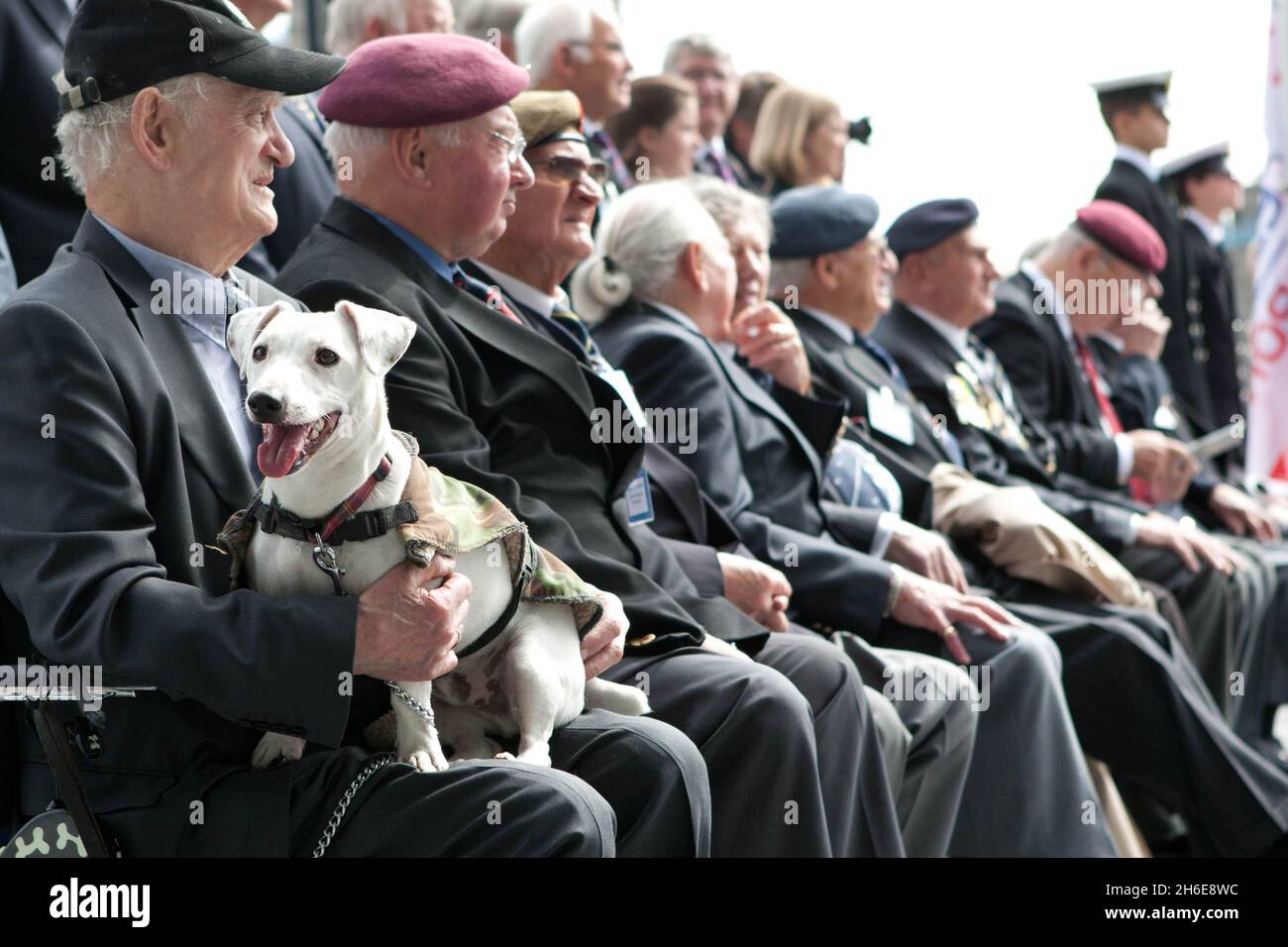 Veteranen des 2. Weltkriegs, darunter der 84-jährige Ex-RAF-Veteran Ron Kane und sein Hund Benji, nahmen heute Morgen an einer Flaggenanhebung vor dem Rathaus in London Teil, um den bevorstehenden Tag der Streitkräfte zu feiern Stockfoto