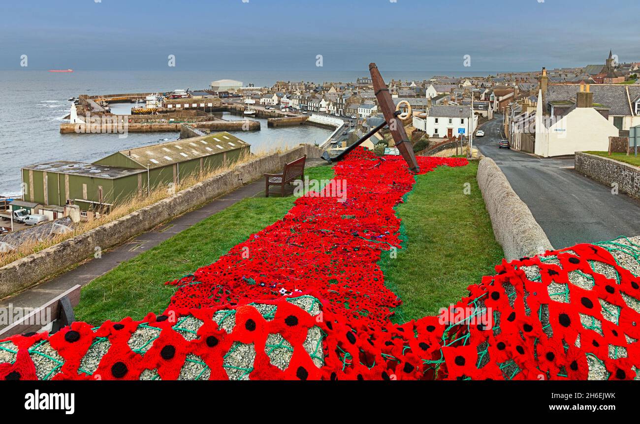 MACDUFF PARISH CHURCH SCHOTTLAND ZUM GEDENKTAG EINE KASKADE VON 13,000 HANDGESTRICKTEN ROTEN MOHNBLUMEN, DIE IN RICHTUNG HAFEN UND STADT FALLEN Stockfoto