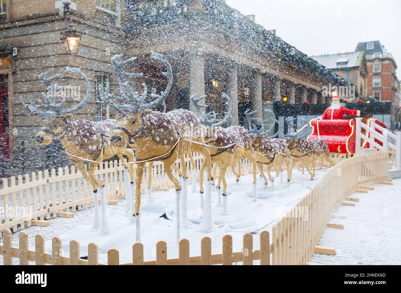 Ein LEGO Schlitten mit dem Weihnachtsmann und 9 Rentieren, darunter Rudolph, das Rentier mit roter Nase, landete heute auf der Covent Garden Piazza. Dieser LEGO Schlitten wurde mit 750,000 LEGO Steinen gebaut und dauerte 32 Tage, bis er gebaut wurde. Er wurde von dem Mann gebaut, der wahrscheinlich den besten Job in Großbritannien hatte - Duncan Titmarsh, dem einzigen LEGO Certified Professional in Großbritannien! Stockfoto