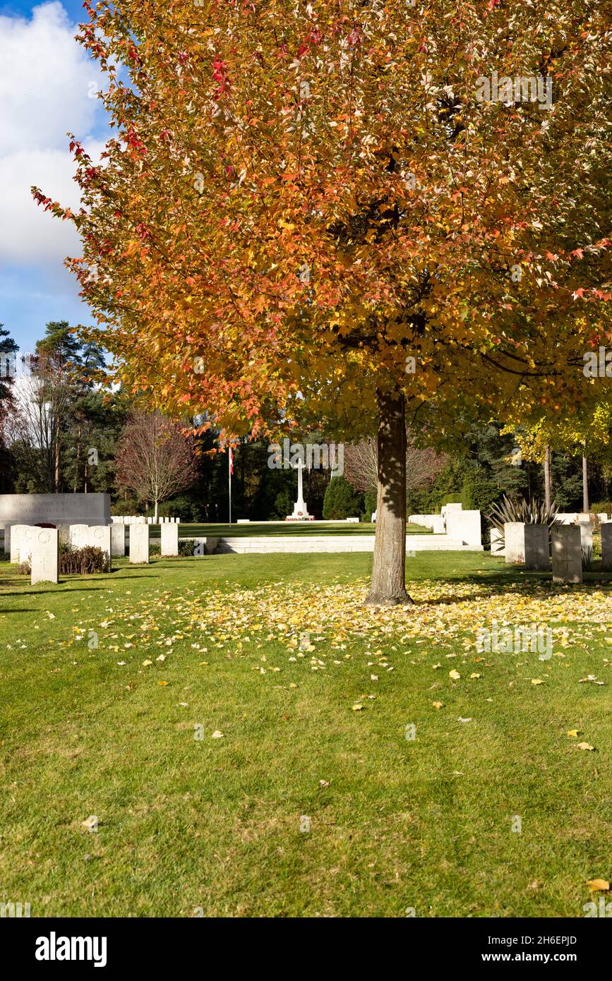 Das Opferkreuz im kanadischen Teil des CWGC Military Cemetery von Brookwood Stockfoto