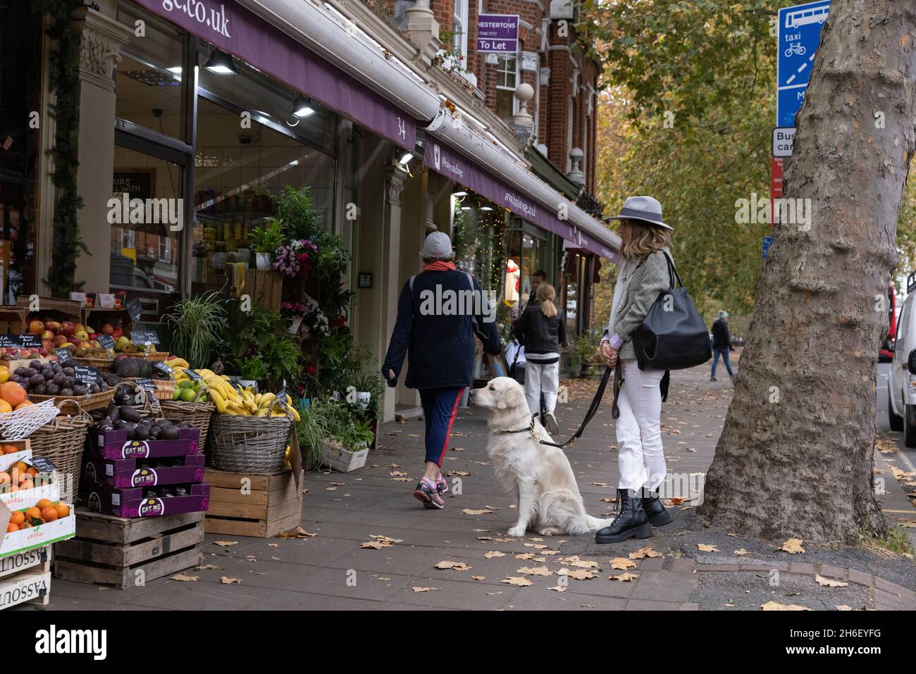 Eine gut gekleidete Dame und ihr Hund warten vor Bayley & Sage delicatessens, New Kings Road, Parsons Green, Southwest London, England, Vereinigtes Königreich Stockfoto