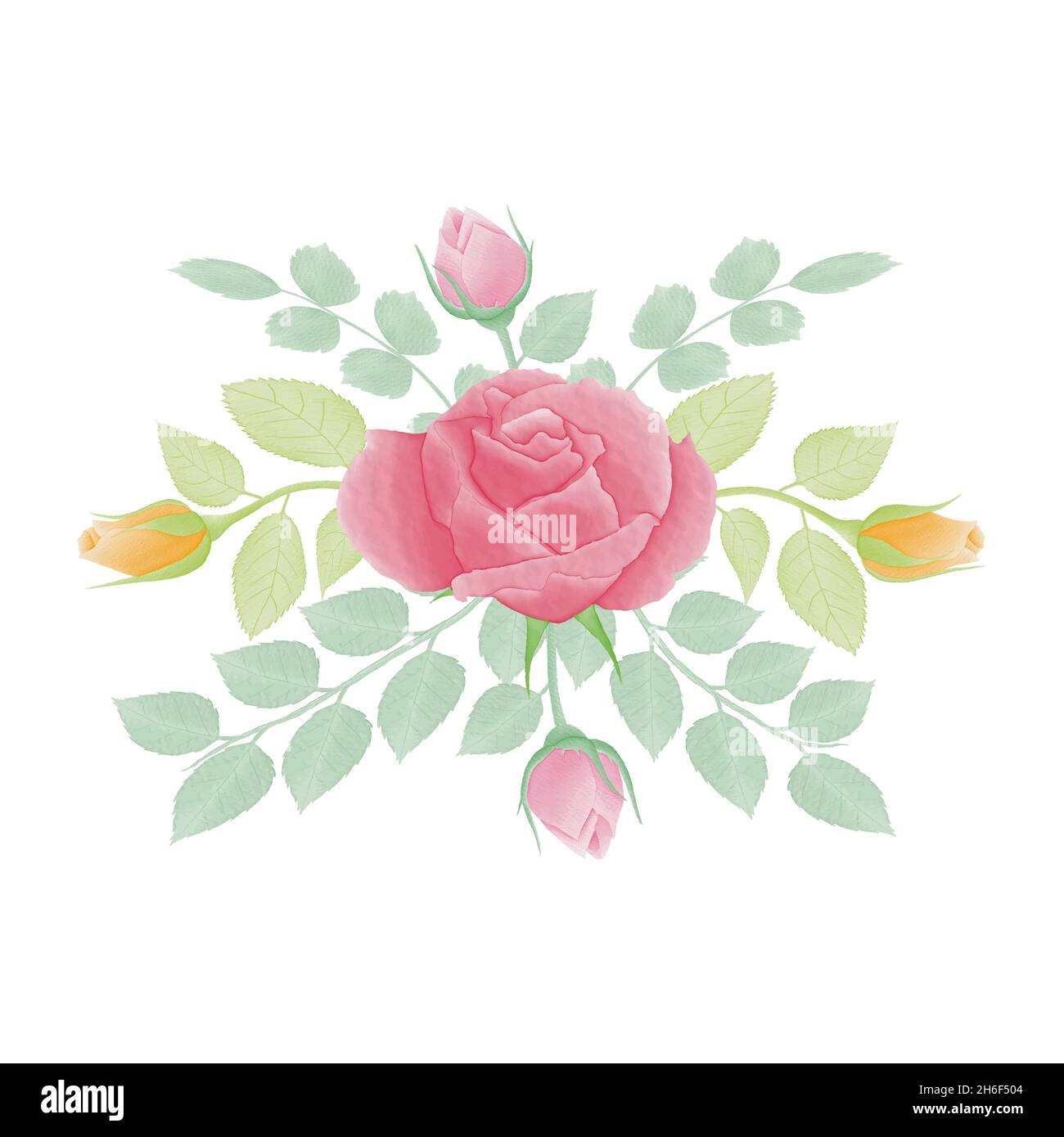 Aquarell natürliche Blume und verlassen Set-Design Stock Vektor