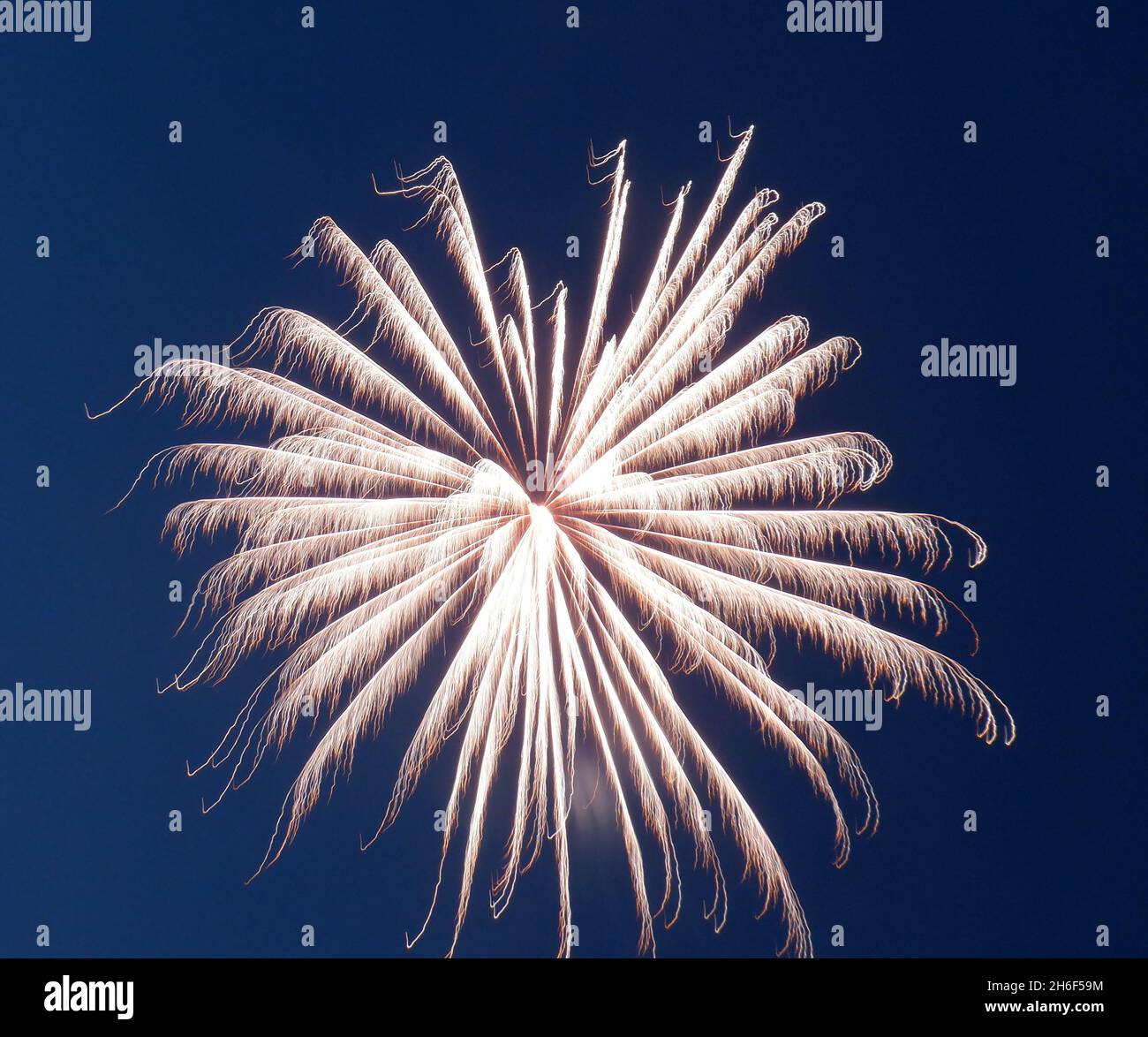 Ziemlich orange-rosa Feuerwerk explodiert am 4. Juli gegen einen bläulichen Himmel Stockfoto