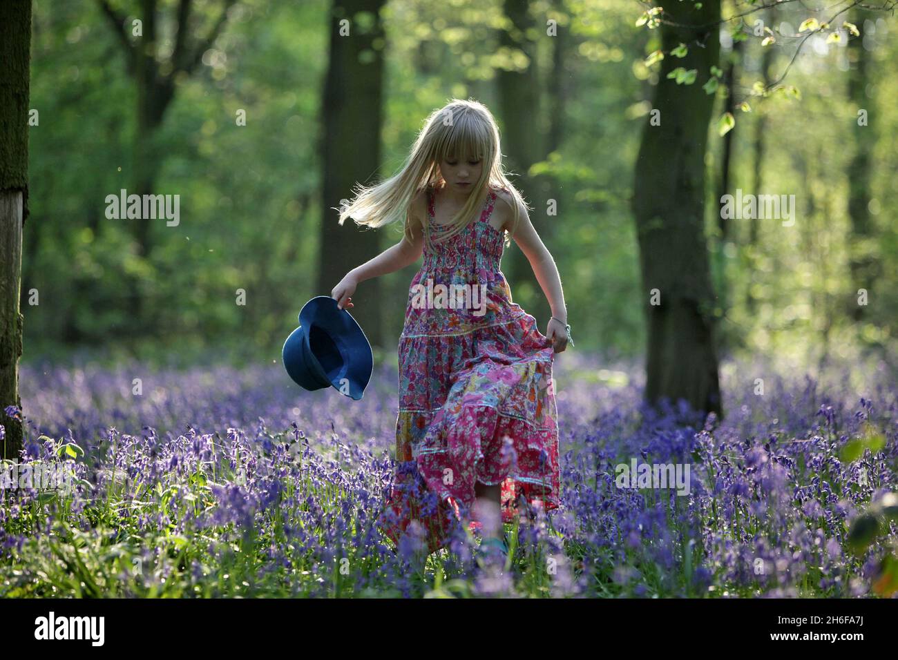 Mit nahezu perfektem Wetter blühen die britischen Bluebells in dieser Woche. Ein kühler Winter hat den Pflanzen geholfen, zu gedeihen und Holz in herrliche Teppiche der Blumen zu verwandeln. Bilder zeigen: Ein junges Mädchen genießt heute Morgen die Bluebells im Wanstead Park, East London. Stockfoto