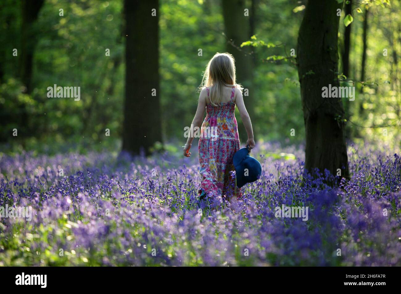 Mit nahezu perfektem Wetter blühen die britischen Bluebells in dieser Woche. Ein kühler Winter hat den Pflanzen geholfen, zu gedeihen und Holz in herrliche Teppiche der Blumen zu verwandeln. Bilder zeigen: Ein junges Mädchen genießt heute Morgen die Bluebells im Wanstead Park, East London. Stockfoto