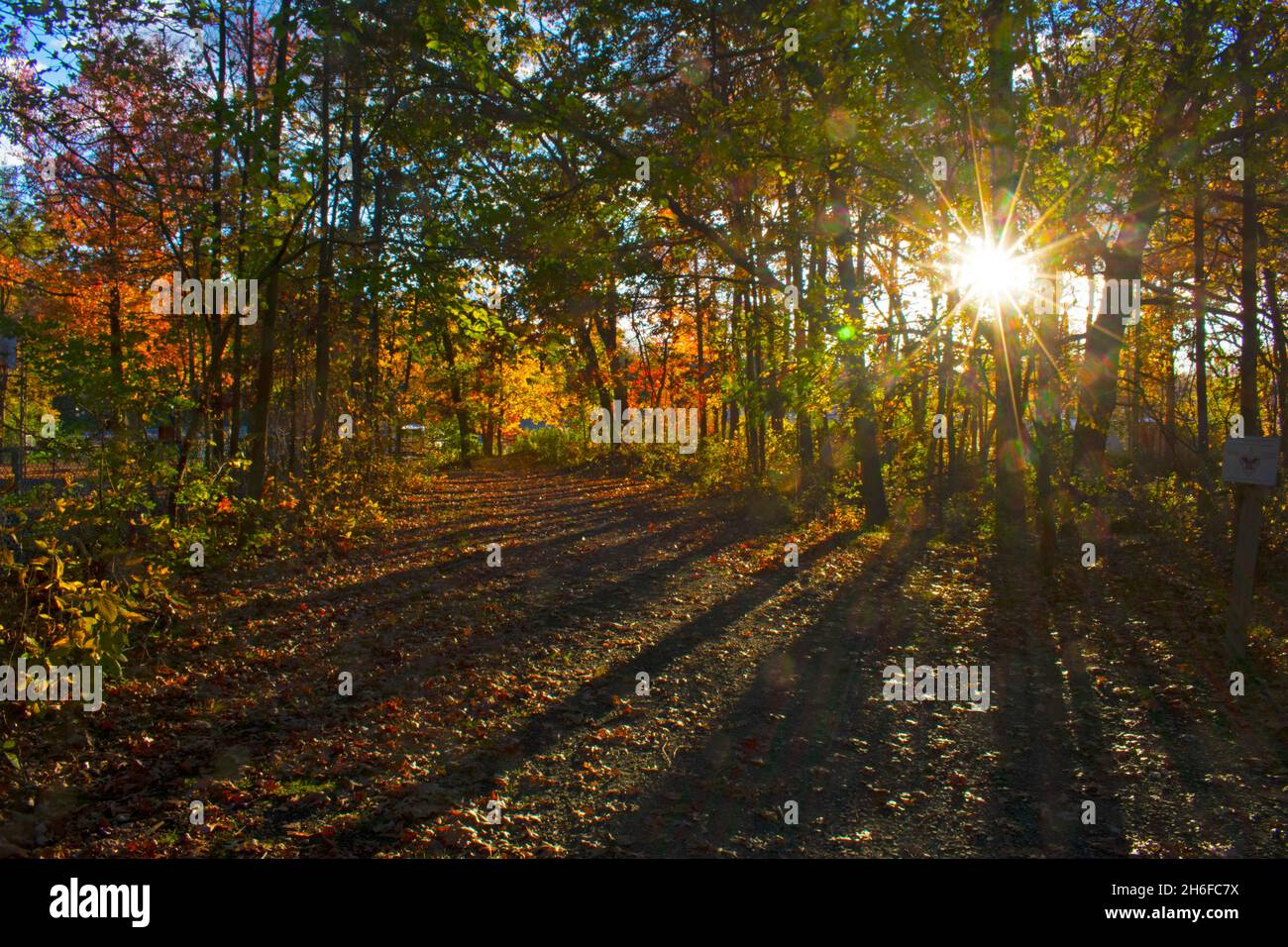 Helle Blätter und andere farbenfrohe Herbstblicke auf dem Naturlehrpfad neben dem Dallenbachsee in East Brunswick, New Jersey, USA -05 Stockfoto
